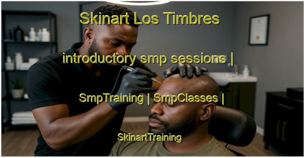 Skinart Los Timbres introductory smp sessions | SmpTraining | SmpClasses | SkinartTraining-Mexico